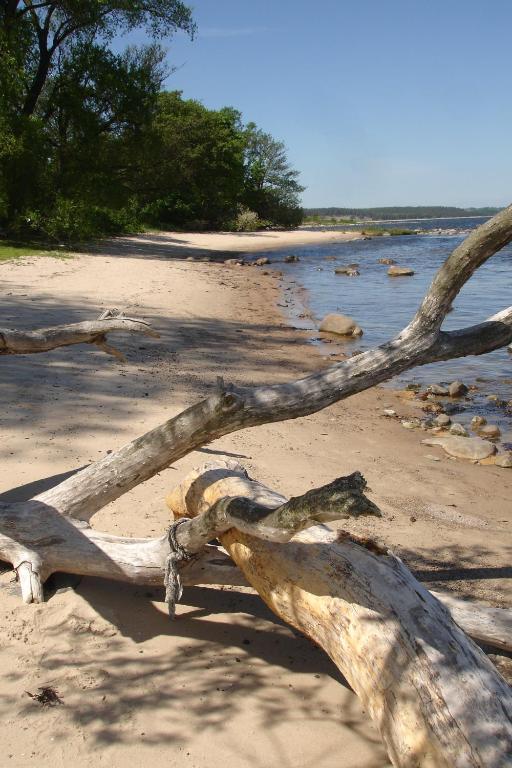 Kivikstrand Badhotell المظهر الخارجي الصورة